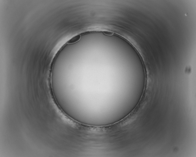 X0000112520901200908311355