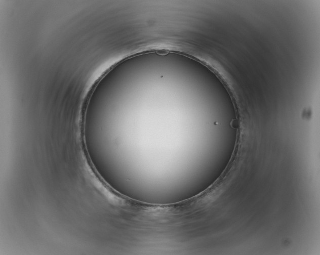 X0000112520902200908311355
