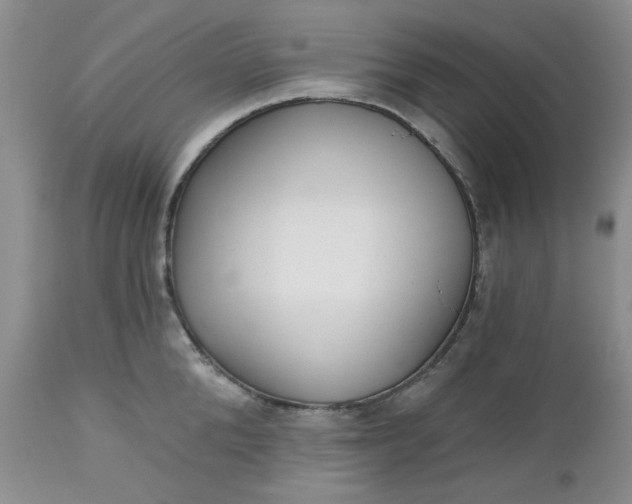 X0000112520904200908311355