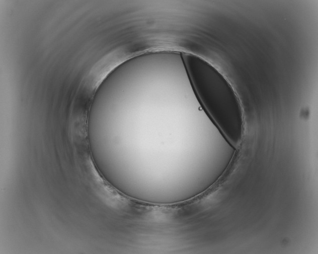X0000112520905200908311354