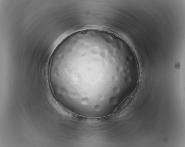 X0000112520907200908311354