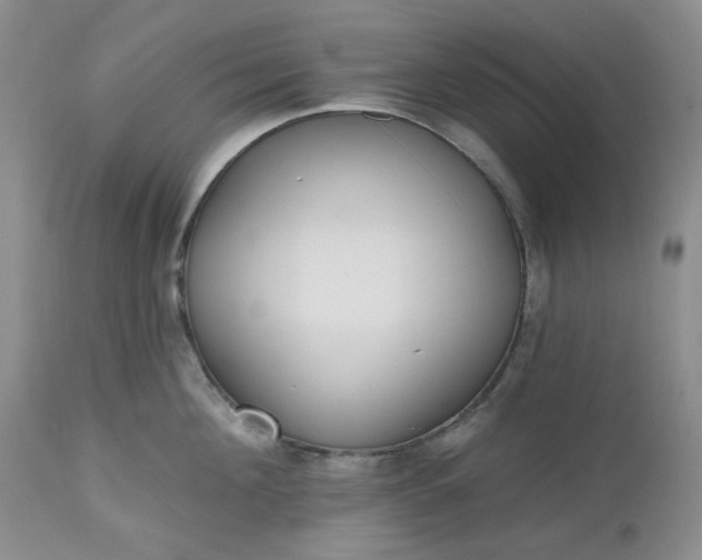 X0000112520908200908311354