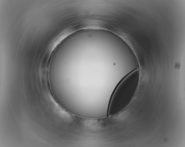 X0000112520909200908311354