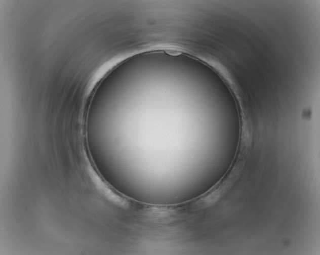 X0000112520910200908311354