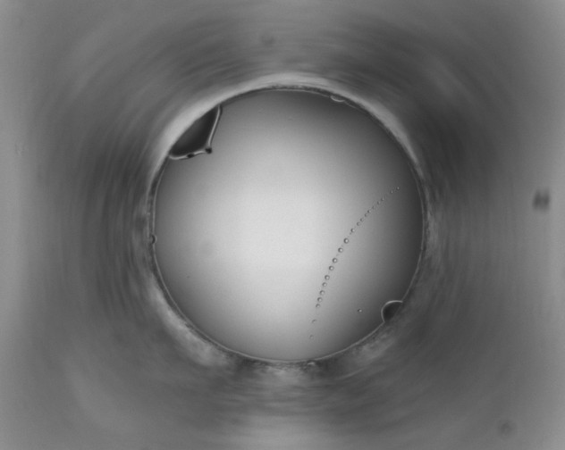 X0000112520911200908311354