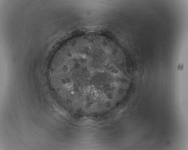 X0000112520913200908311354