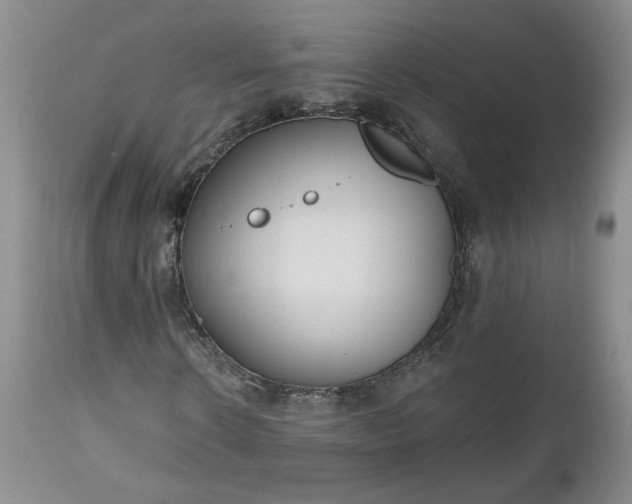 X0000112520914200908311354