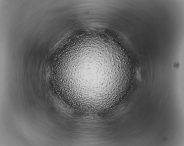 X0000112520915200908311354