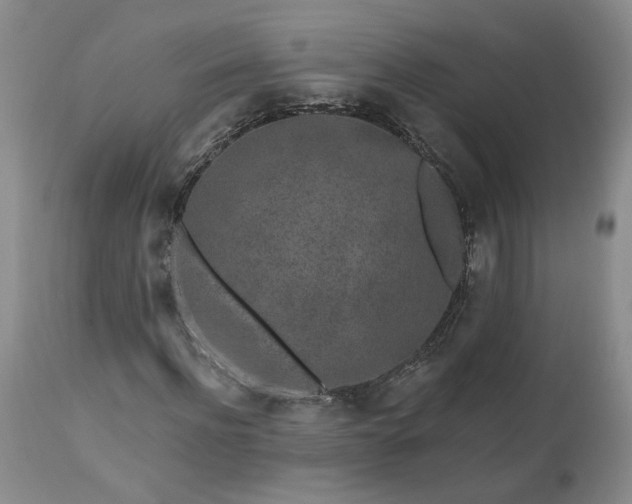 X0000112520916200908311354