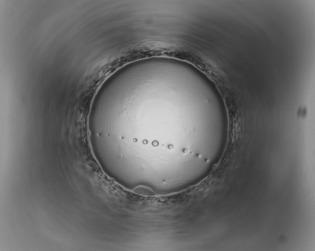 X0000112520917200908311354