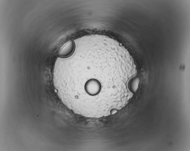 X0000112520918200908311354