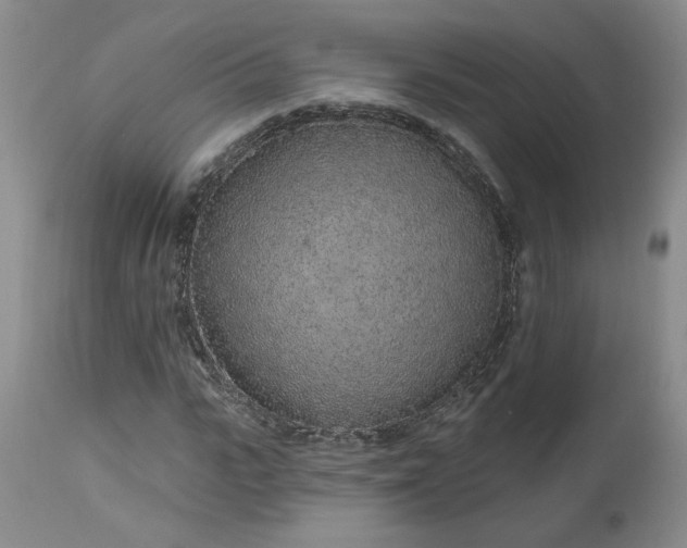 X0000112520919200908311354
