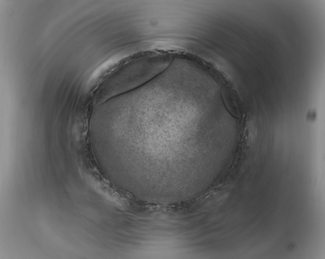 X0000112520920200908311354