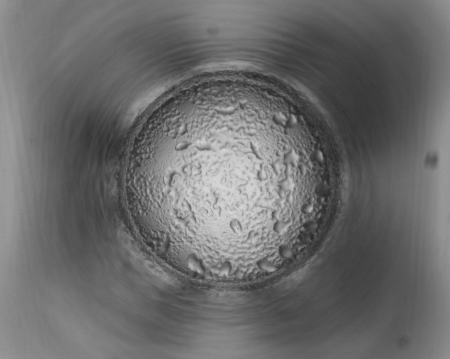 X0000112520921200908311354