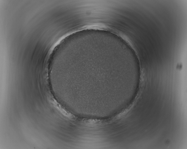 X0000112520923200908311354