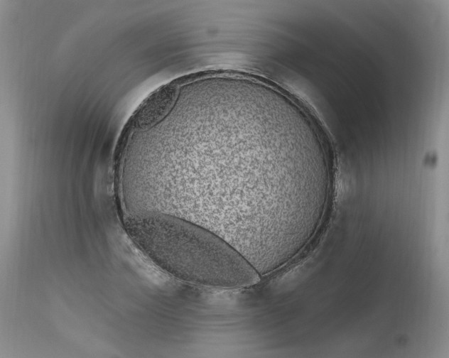 X0000112520924200908311354