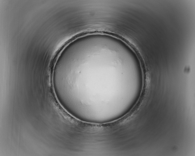 X0000112520925200908311354