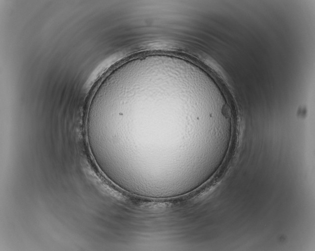 X0000112520930200908311354