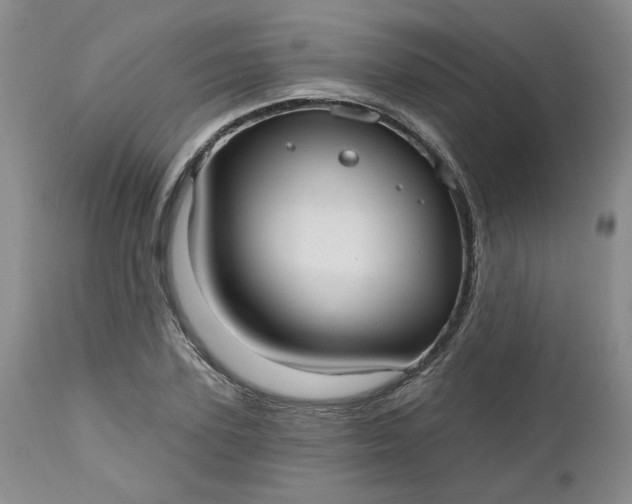 X0000112520931200908311354