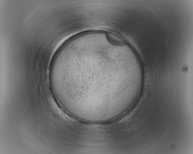 X0000112520932200908311354