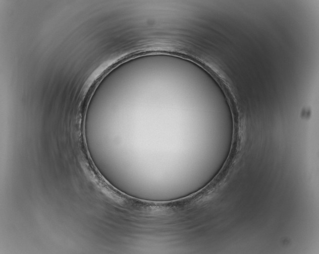 X0000112520933200908311354