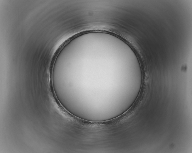 X0000112520936200908311354