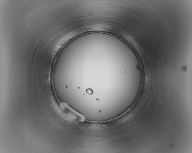 X0000112520938200908311354