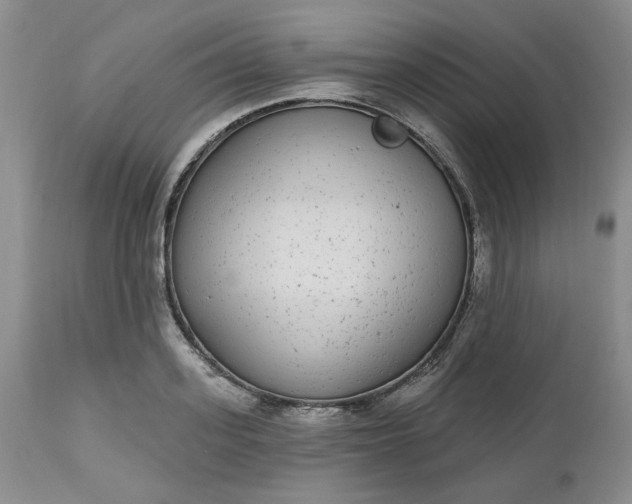 X0000112520939200908311354