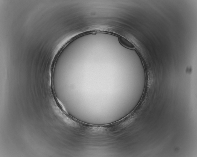 X0000112520940200908311354