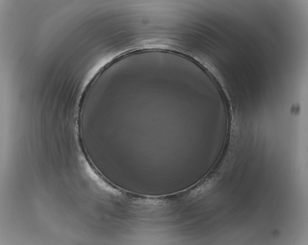 X0000112520941200908311354