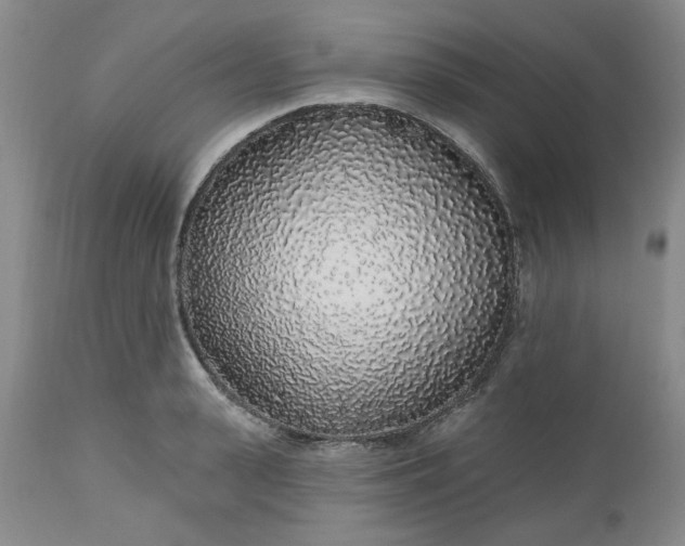 X0000112520943200908311354