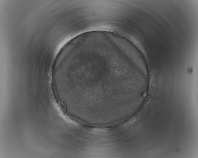 X0000112520944200908311354