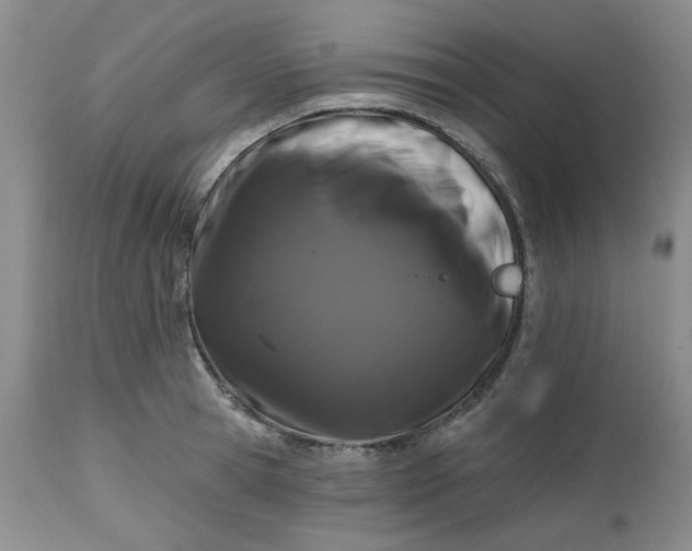 X0000112520945200908311354