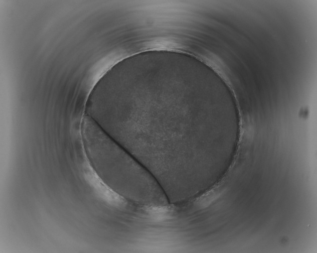 X0000112520946200908311354