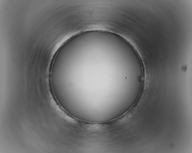 X0000112520949200908311354