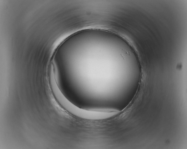 X0000112520952200908311354