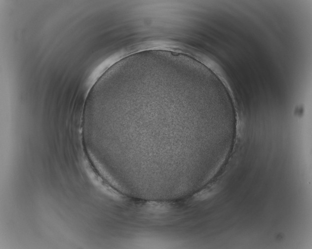 X0000112520954200908311354