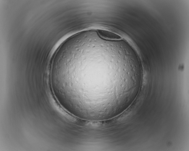 X0000112520955200908311354