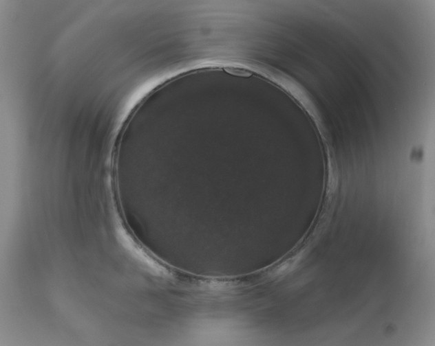 X0000112520958200908311354