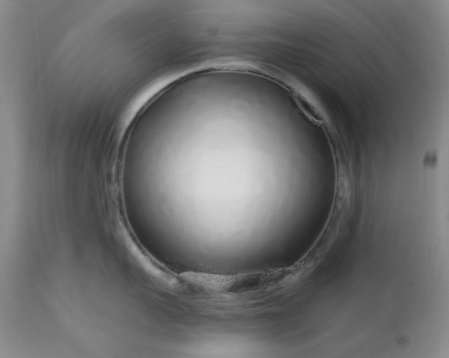 X0000112520959200908311354