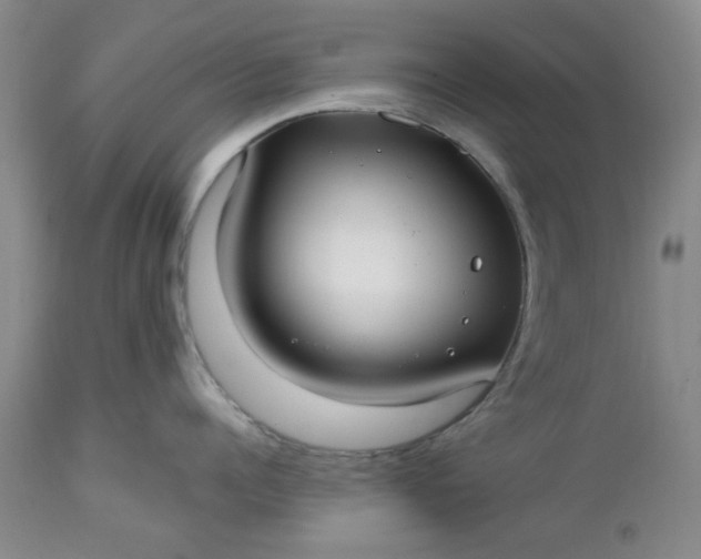 X0000112520960200908311354