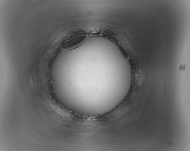 X0000112520961200908311354