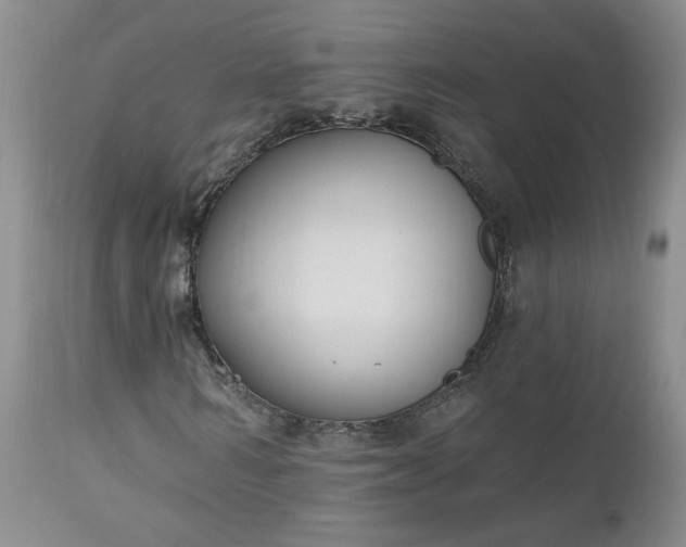 X0000112520962200908311354