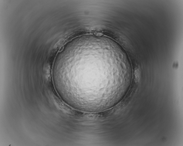 X0000112520963200908311354