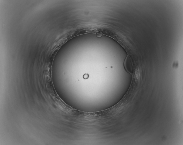 X0000112520964200908311354