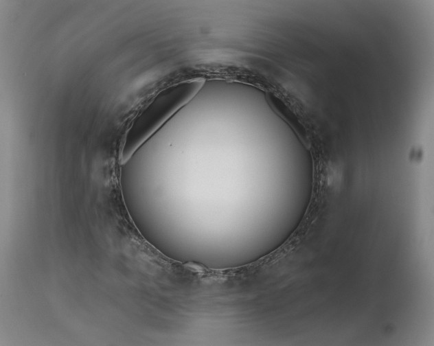X0000112520965200908311354