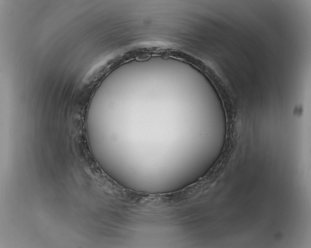 X0000112520967200908311354