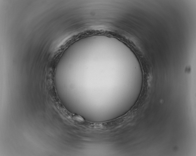 X0000112520968200908311354