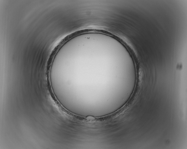 X0000112520972200908311354