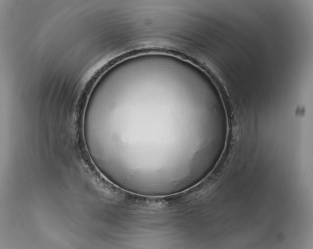 X0000112520975200908311354